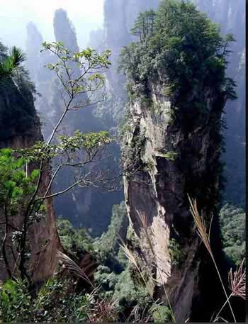 長沙出發(fā)到張家界溶洞奇觀黃龍洞、國家森林公園、袁家界、峰林之王天子山三日游（早班）