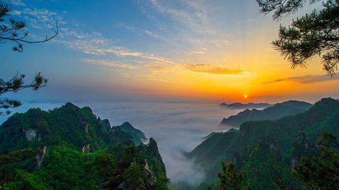 張家界森林公園（金鞭溪、袁家界、楊家界、天子山、十里畫廊）住山上2天1游（可看日出）